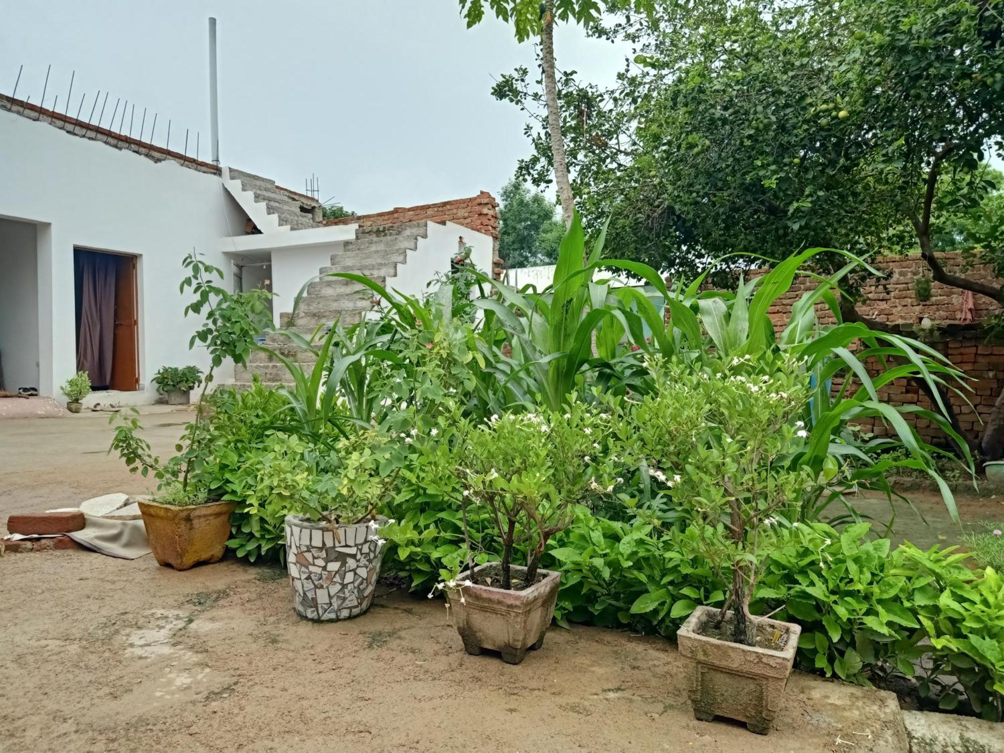 Apartament Khajuraho Rancho Zewnętrze zdjęcie