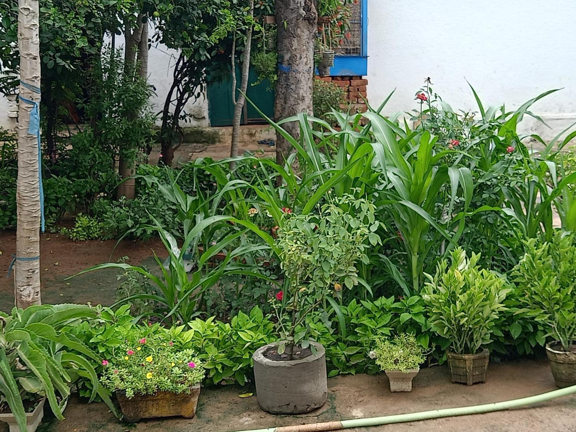 Apartament Khajuraho Rancho Zewnętrze zdjęcie