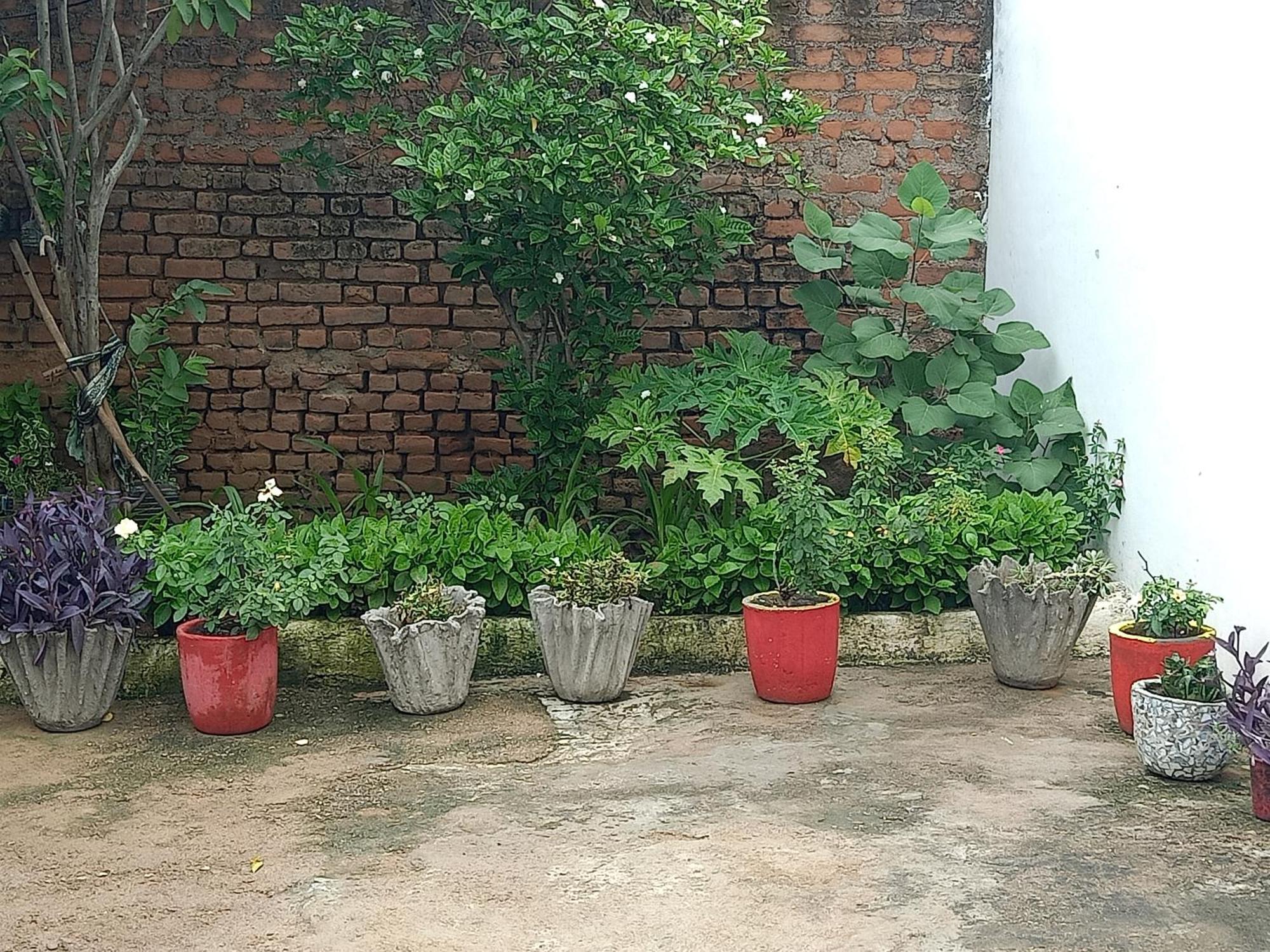 Apartament Khajuraho Rancho Zewnętrze zdjęcie