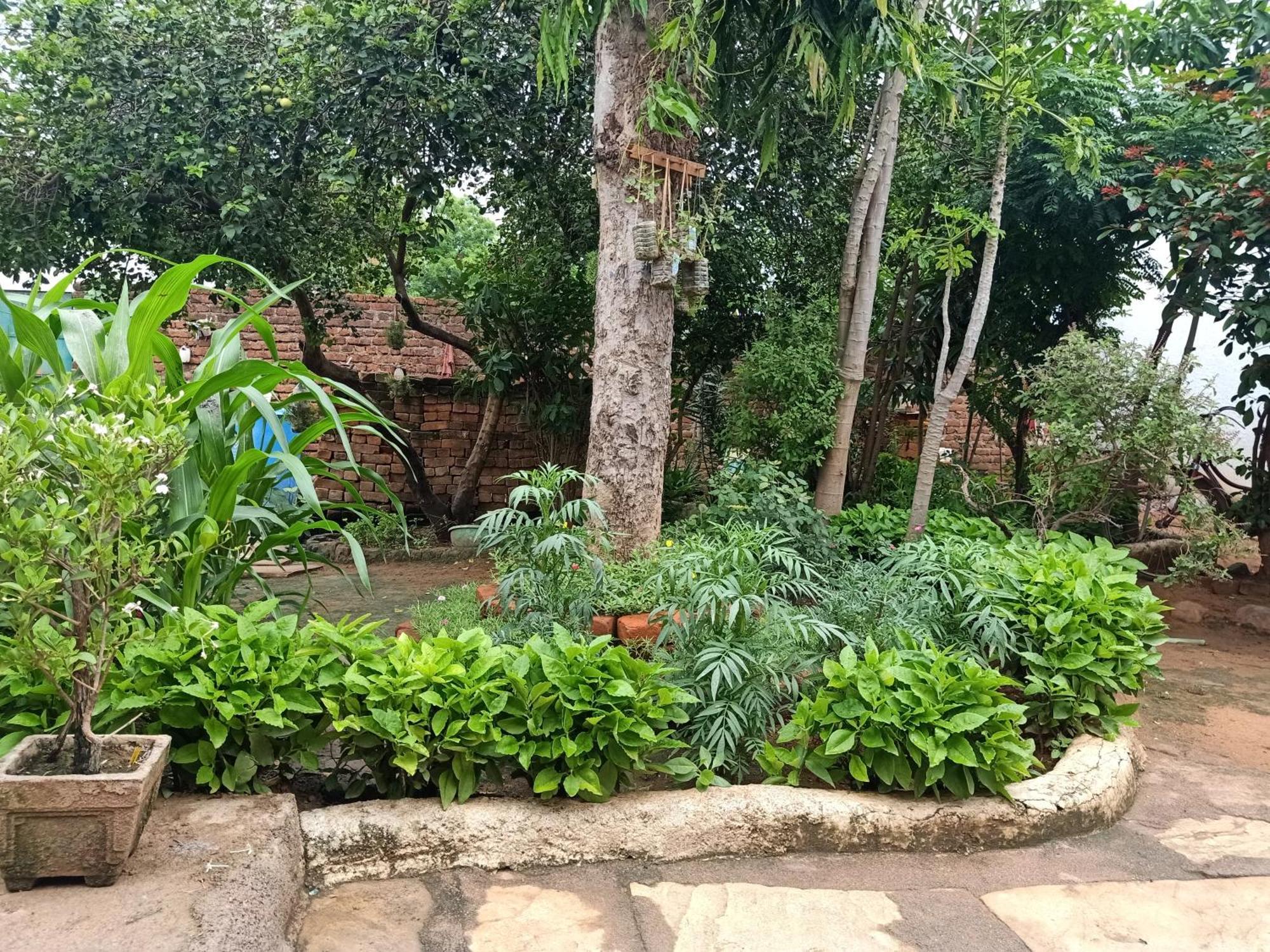 Apartament Khajuraho Rancho Zewnętrze zdjęcie