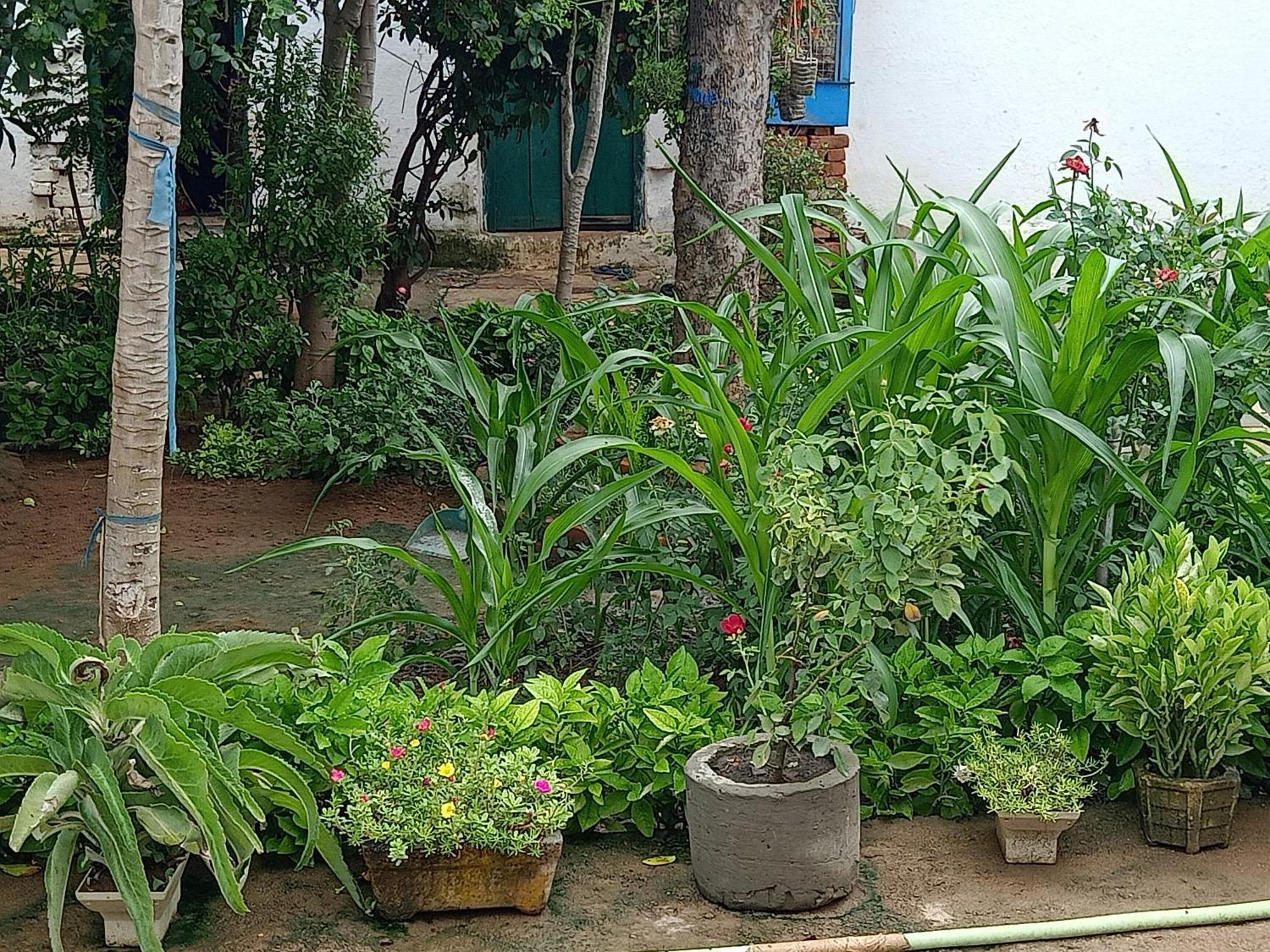 Apartament Khajuraho Rancho Zewnętrze zdjęcie