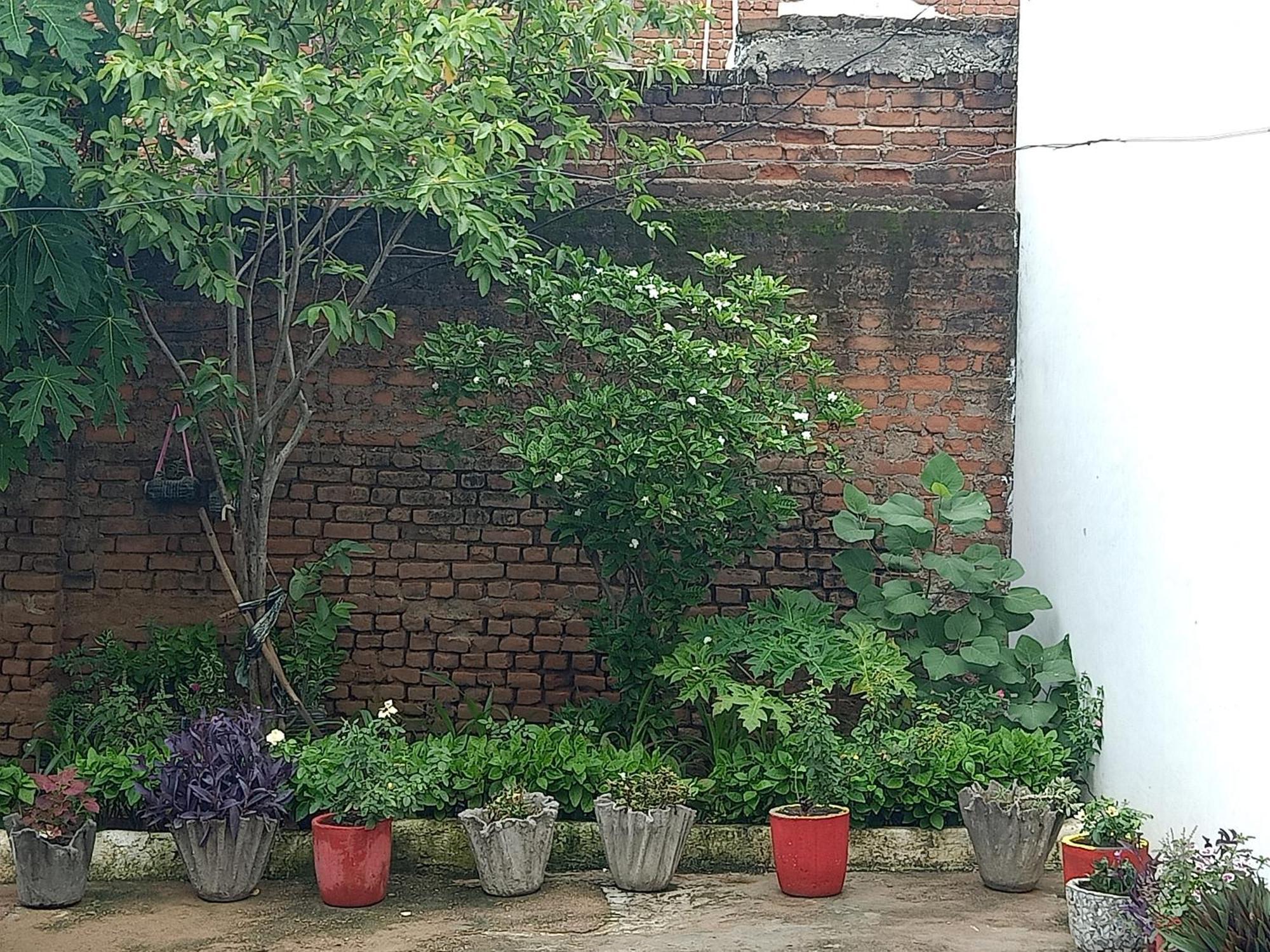 Apartament Khajuraho Rancho Zewnętrze zdjęcie